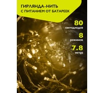 Гирлянда ФАZА DC-G01-80Y, 80 желт LED, 7.8 м, 8 реж, 3xAA (не в компл.) 5047730