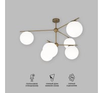 Потолочный светильник Eurosvet со стеклянными плафонами 60147/6 латунь a063851