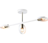 Подвесной светильник Ambrella Light TRADITIONAL TR8228