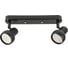 Декоративный накладной светильник Fametto dlc-s621 gu10x2 black UL-00009798 1