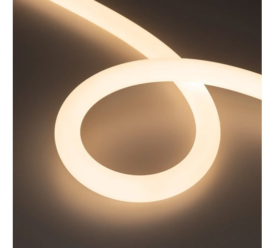 Герметичная лента Arlight MOONLIGHT-SIDE-FP-X1088-D25mm 24V Warm3000 , В 5м 038868 1