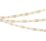 Светодиодная лента Arlight DOT-X192-10mm 24V White6000 5м 040187 1