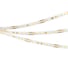 Светодиодная лента Arlight DOT-X128-8mm 24V Warm3000 5м 040235 1