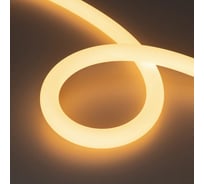 Герметичная лента Arlight MOONLIGHT-TOP-A336-D25mm 24V Warm2700 360deg 5м 038747