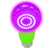 Светодиодная лампа для растений Uniel LED-A60-15W/SPSB/E27/CL PLP30GR UL-00004582