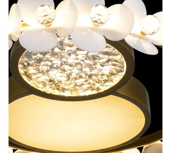 Накладной светильник LOFT IT Bride 10174