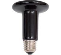 Инфракрасная керамическая лампа LightBest для обогрева ERK 100W 220V E27 700109001