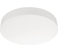 Светильник Arlight IM-FLOWER-EMERGENCY-3H-R360-18W Day4000-MIX, IP54 Пластик, 042563