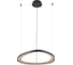 Подвесная люстра ARTE LAMP cinta A1847SP-36BK 1