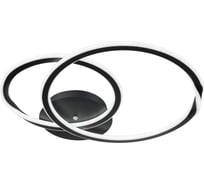 Потолочная люстра ARTE LAMP sierra A2211PL-2BK