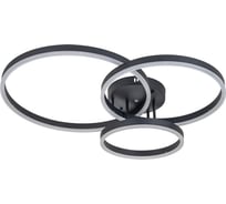 Потолочная люстра ARTE LAMP sierra A2426PL-3BK