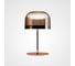 Настольная лампа IMPERIUMLOFT NOTEN TAB H415 Rose Gold 140902-26 1