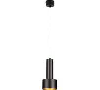 Подвесной светильник Elektrostandard 50134/1 LED черный/золото 00000084441