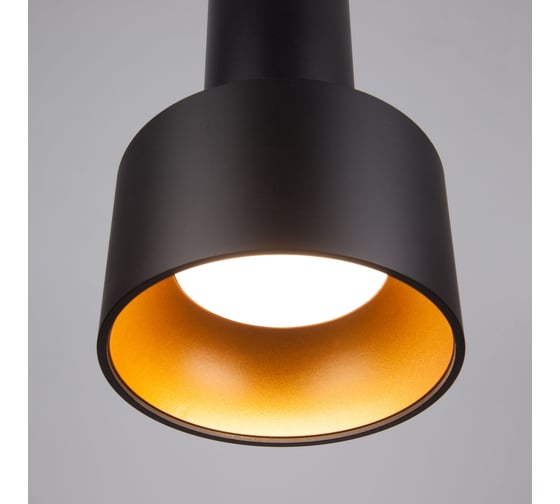 Подвесной светильник Elektrostandard 50134/1 LED черный/золото 00000084441