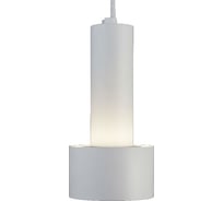 Подвесной светильник Elektrostandard 50134/1 LED белый 00000084442
