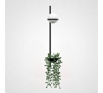 Бра IMPERIUMLOFT PALMA Wall lamp 1 шар + 1 вазон вертикальная 168496-22