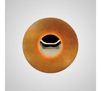 Настенный светильник IMPERIUMLOFT ALESTA D30 Orange 209029-23