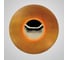 Настенный светильник IMPERIUMLOFT ALESTA D60 Orange 209036-23 1