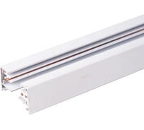 Электрический шинопровод для светильников Elektrostandard TRL-1-1-300-WH однофазный белый (3м) a043226