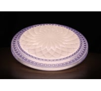 Светодиодный светильник Metronex mlr-04 48вт 400мм Фиолетовый MLR-04PR