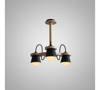 Потолочная люстра IMPERIUMLOFT NATURA B3 Black 151721-26