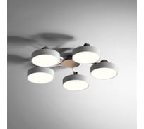 Потолочная люстра IMPERIUMLOFT MOVE 5 Gray 178249-26