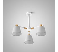 Потолочная люстра на штанге IMPERIUMLOFT NATURA A WHITE 3 101826-26