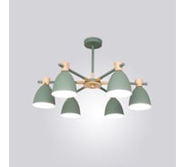 Потолочная люстра IMPERIUMLOFT FOLKE 6 Green 178026-26