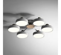 Потолочная люстра IMPERIUMLOFT MOVE 6 Gray 178253-26