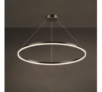 Кольцевая люстра IMPERIUMLOFT CRUISE ONE LUX D40 204620-23