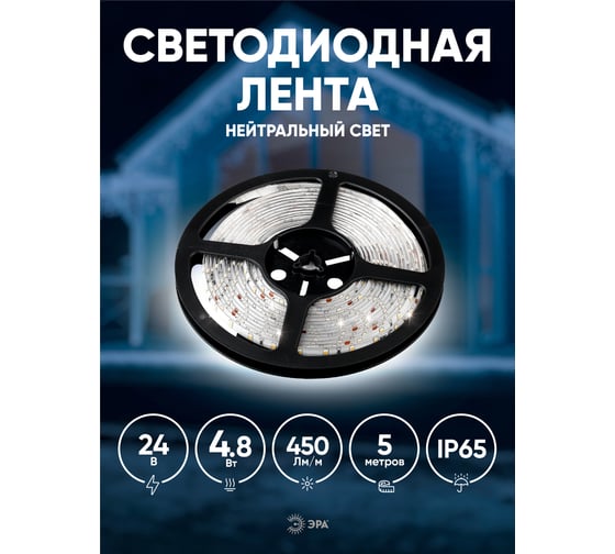 Светодиодная лента ЭРА LS2835-4,80-60-24-65-4000К-5m Б0043111