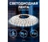 Светодиодная лента ЭРА LS5050-14,4-60-12-6500K-IP20-2year-5m Б0044118 7