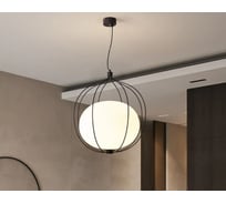 Подвесной светильник IMPERIUMLOFT PHEZALIS D40 Black 140926-26