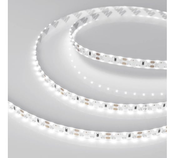 Светодиодная лента Arlight RS 2-5000 24V, Day5000 2x2 8mm, 5м 024464 1