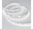 Светодиодная лента Arlight RS 2-5000 24V, Day5000 2x2 8mm, 5м 024464 2