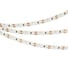 Светодиодная лента Arlight RS 2-5000 24V, Day5000 2x2 8mm, 5м 024464 4