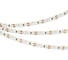 Светодиодная лента Arlight RS 2-5000 24V, Warm2700 2x2 8mm, 5м 024467 3