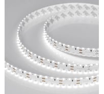 Светодиодная лента Arlight RS 2-5000 24V, Day5000 2x2 15mm, 5м 024469