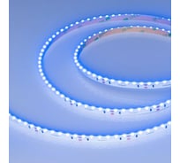Светодиодная лента Arlight RS-S120-8mm, 24V, Blue 5м 037153