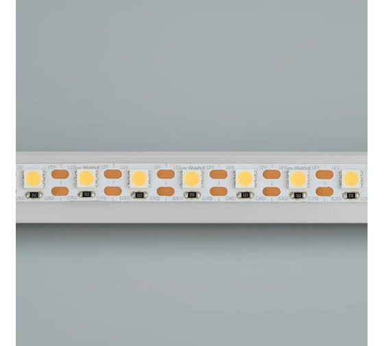 Светодиодная лента Arlight RT 2-5000 12V, Cx1 White6000 2x5м 011705(1)