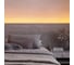 Светодиодная лента Arlight RT-A240-10mm, 24V, Warm-MIX 5м 038400 7