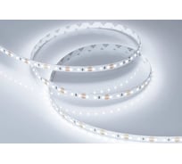 Светодиодная лента Arlight RT-A120-8mm, 12V, Cool 8K 5м 028568(2)