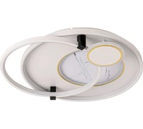 Потолочная люстра LUMION LED 113W ANEKO 6544/113CL