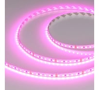 Светодиодная лента Arlight RT-A120-8mm, 24V, Magenta 5м 043381