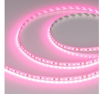 Светодиодная лента Arlight RT-A120-8mm, 24V, Pink 5м 043380