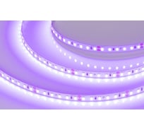 Светодиодная лента Arlight RT-A120-8mm, 24V, Violet 5м 043384