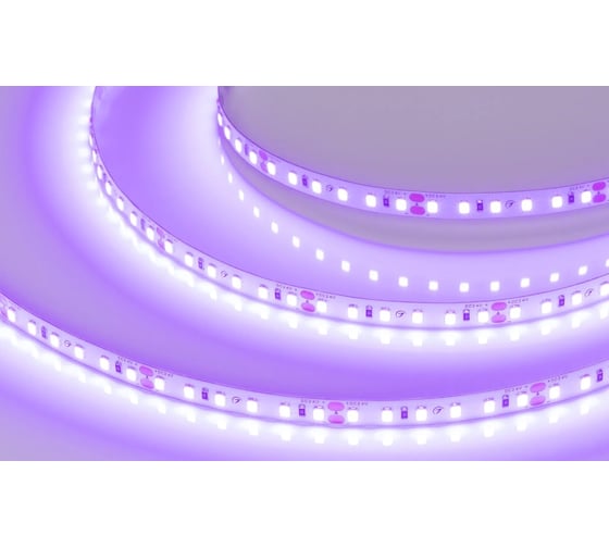 Светодиодная лента Arlight RT-A120-8mm, 24V, Violet 5м 043384 1