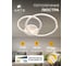 Потолочная люстра ARTE LAMP sierra A2211PL-2WH 4