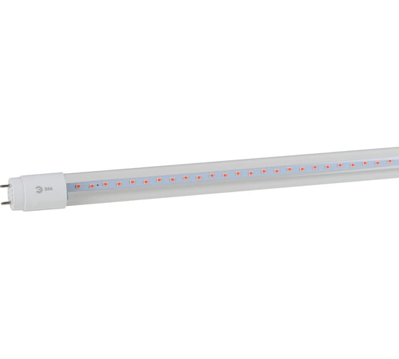 Лампа ЭРА красносинего спектра FITO-18W-RB-Т8-G13-NL 18 Вт Т8 G13 Б0042990