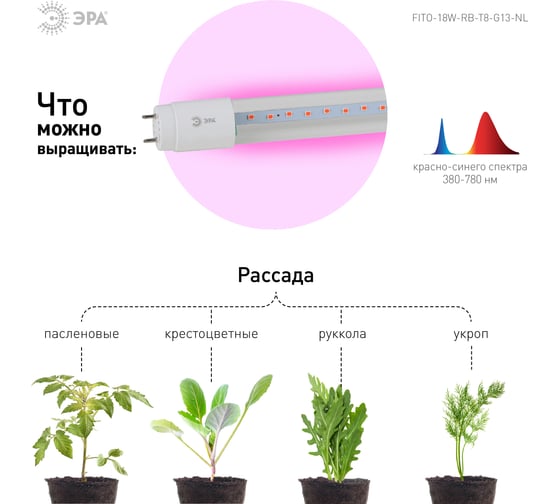 Лампа ЭРА красносинего спектра FITO-18W-RB-Т8-G13-NL 18 Вт Т8 G13 Б0042990